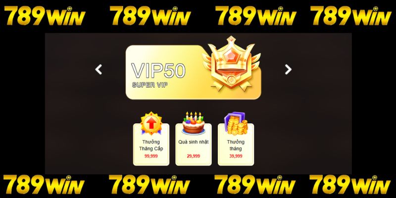 Đặc quyền thương gia cho Thành viên VIP của 789win