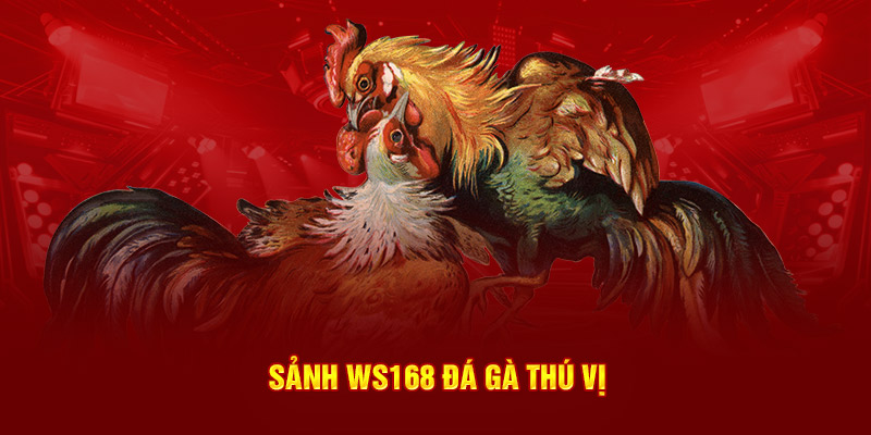 Sảnh Ws168 Đá Gà thú vị