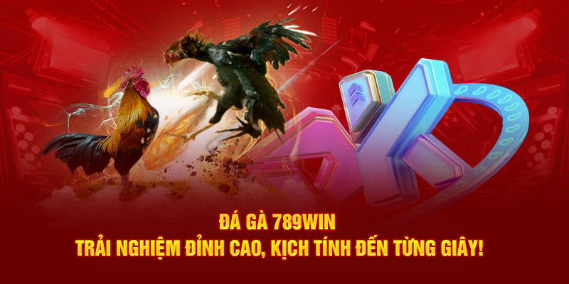 Đá Gà 789Win – Trải Nghiệm Đỉnh Cao, Kịch Tính Đến Từng Giây